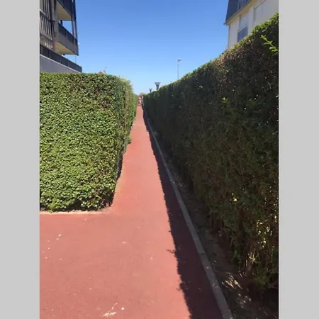 Tres Bel Avec Vue Mer *